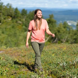 Damskie Pinewood Koszulki, Bluzki Damskie | Koszulki, Polo | Damski T-SHIRT ® FUNCTION 3462 (839)