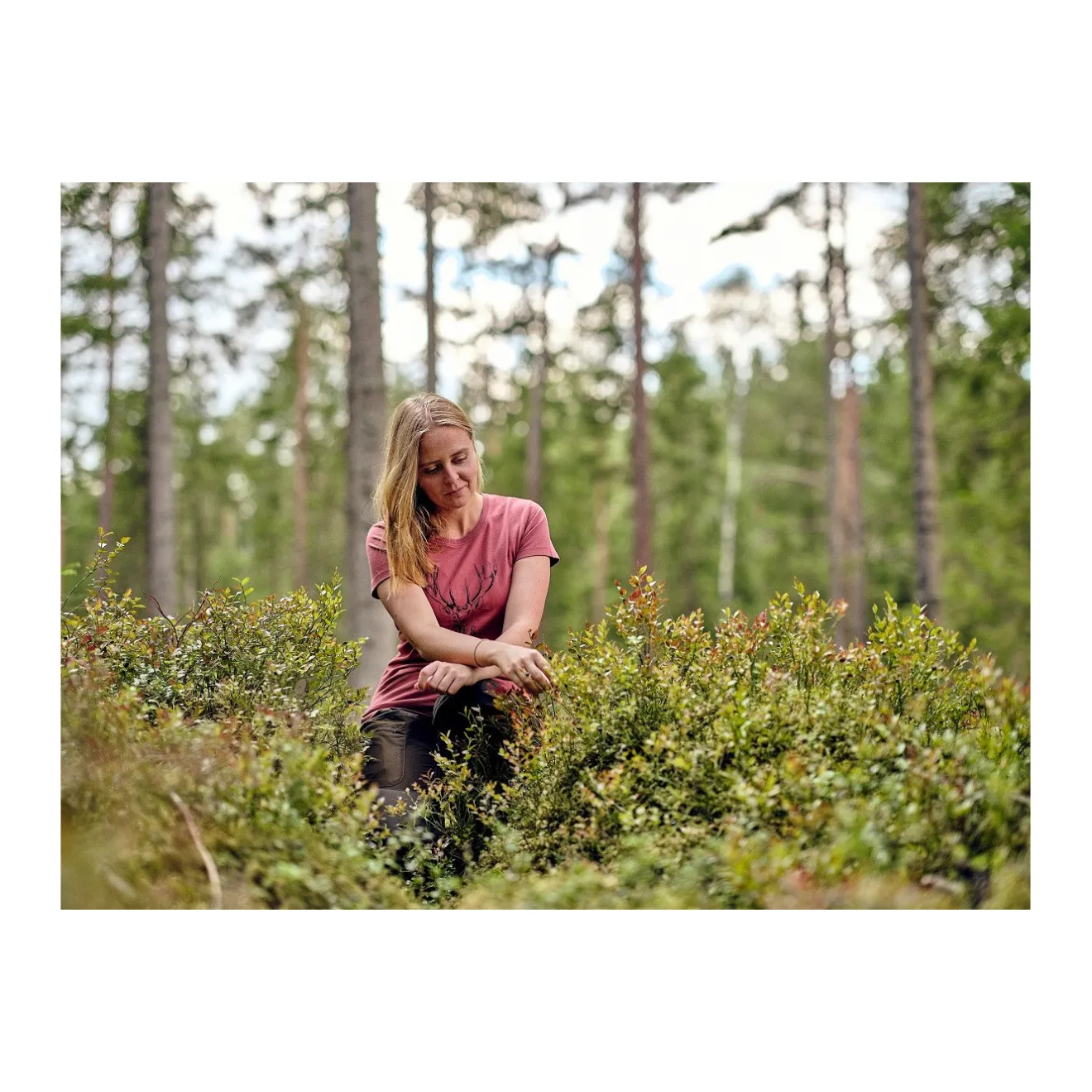 damski_tshirt_pinewood_re_5.webp Damskie Pinewood Koszulki, Bluzki Damskie | Koszulki Myśliwskie | DAMSKI T-SHIRT ® RED DEER 3038