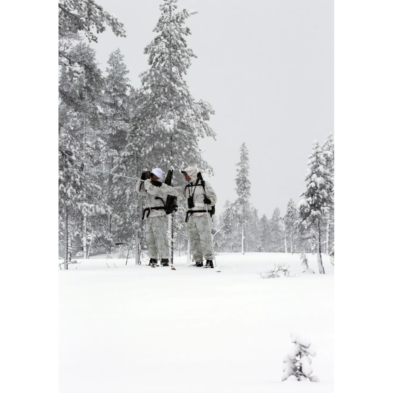komplet_maskujcy_pinewood_5.webp Pinewood Komplety Myśliwskie | Komplet maskujący ® CAMOU 5661 Snow (972)