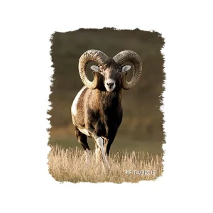 Taurus Koszulki | Koszulki Myśliwskie | Koszulka Mufflon