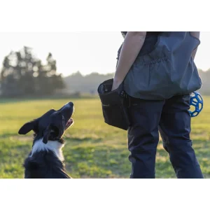 Pinewood Torby, Worki | Torby, Plecaki, Worki | Saszetka/Torba ® DOG-SPORTS BAG SMALL 1106