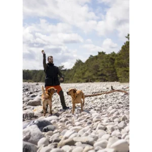 Pinewood Spodnie, Spodenki | SPODNIE ® BRENTON 5402